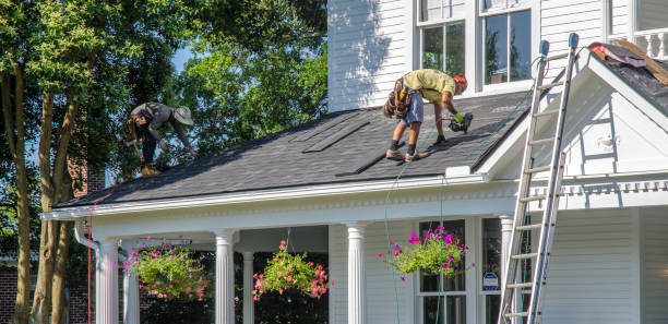 Best Roof Gutter Cleaning  in South Houston, TX